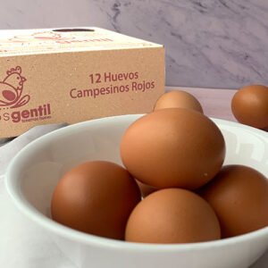 Caja biodegradable de huevos campesinos Tipo AAA x 12 unidades
